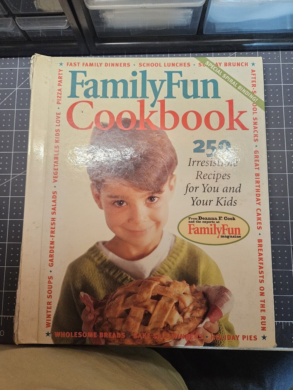 FamilyFun Cookbook